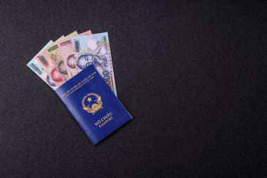Seyahat etmek, uçmak ve iş yapmak için Vietnam pasaportu. Vietnam belgesi, sınırı geçmek için kimlik