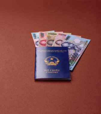 Seyahat etmek, uçmak ve iş yapmak için Vietnam pasaportu. Vietnam belgesi, sınırı geçmek için kimlik
