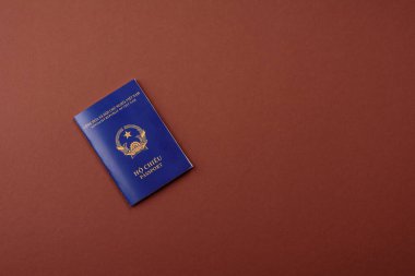 Seyahat etmek, uçmak ve iş yapmak için Vietnam pasaportu. Vietnam belgesi, sınırı geçmek için kimlik