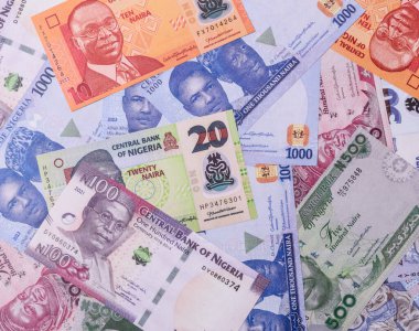 Nijerya parası, naira, kağıt banknotlar, nakit. İş yapmak, seyahat etmek için Nijerya parası