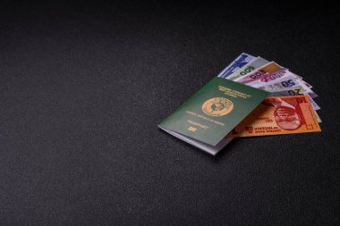 Nijerya Uluslararası Küresel İş, Göç ve Seyahat Pasaportu