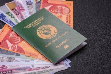 Nijerya Uluslararası Küresel İş, Göç ve Seyahat Pasaportu