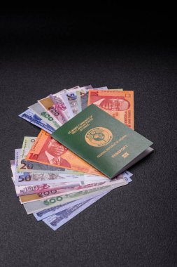 Nijerya Uluslararası Küresel İş, Göç ve Seyahat Pasaportu