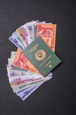 Nijerya Uluslararası Küresel İş, Göç ve Seyahat Pasaportu