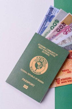 Nijerya Uluslararası Küresel İş, Göç ve Seyahat Pasaportu