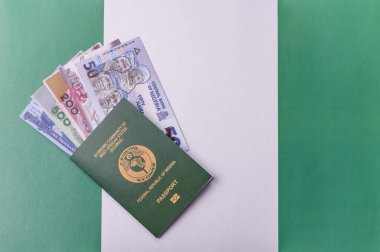 Nijerya Uluslararası Küresel İş, Göç ve Seyahat Pasaportu