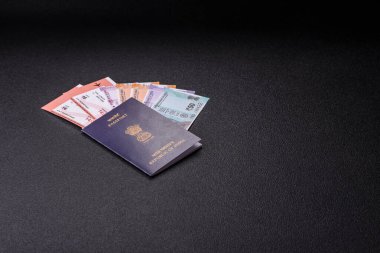 Hindistan pasaportu ve seyahat, uçma ve iş yapma biletleri. Hindistan belgesi, sınırı geçmek için kimlik