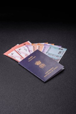 Hindistan pasaportu ve seyahat, uçma ve iş yapma biletleri. Hindistan belgesi, sınırı geçmek için kimlik