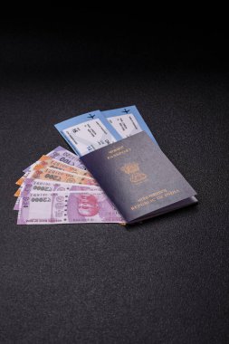 Hindistan pasaportu ve seyahat, uçma ve iş yapma biletleri. Hindistan belgesi, sınırı geçmek için kimlik