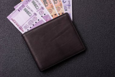 Hint parası, rupi, kağıt banknotlar, nakit. İş yapmak, seyahat etmek için Hindistan parası