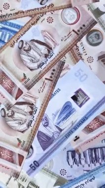 BAE parası, dirhem, kağıt banknot, nakit. İş yapmak, seyahat etmek için Emirlikler