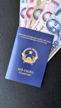 Seyahat etmek, uçmak ve iş yapmak için Vietnam pasaportu. Vietnam belgesi, sınırı geçmek için kimlik