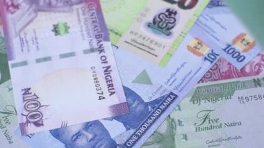 Nijerya Uluslararası Küresel İş, Göç ve Seyahat Pasaportu