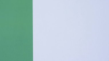 Nijerya Uluslararası Küresel İş, Göç ve Seyahat Pasaportu