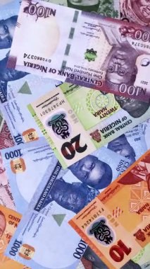 Nijerya parası, naira, kağıt banknotlar, nakit. İş yapmak, seyahat etmek için Nijerya parası