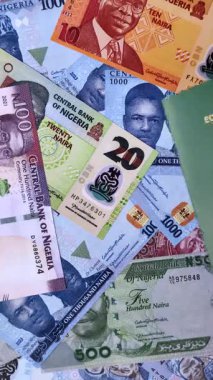 Nijerya Uluslararası Küresel İş, Göç ve Seyahat Pasaportu