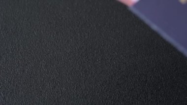 Hindistan pasaportu ve seyahat, uçma ve iş yapma biletleri. Hindistan belgesi, sınırı geçmek için kimlik