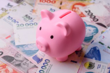 Arjantin kağıt parası, döviz veya seyahat için para birimi olarak peso banknotlar. İş geçmişi olarak Arjantin parası