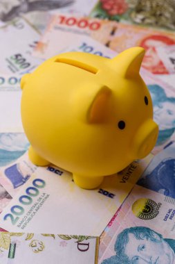 Arjantin kağıt parası, döviz veya seyahat için para birimi olarak peso banknotlar. İş geçmişi olarak Arjantin parası