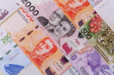 Arjantin kağıt parası, döviz veya seyahat için para birimi olarak peso banknotlar. İş geçmişi olarak Arjantin parası