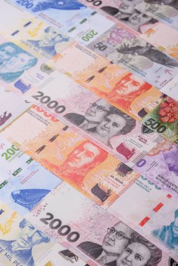 Arjantin kağıt parası, döviz veya seyahat için para birimi olarak peso banknotlar. İş geçmişi olarak Arjantin parası
