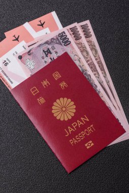 Japon vatandaşı pasaportu, seyahat, göç ya da turizm için vize belgesi. Tasarımınız için Japon pasaportu