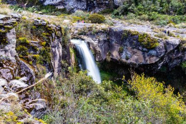 Cotopaxi 'de doğan ve volkanik kayalardaki bir kanaldan geçen kristal sudan oluşan şelale.