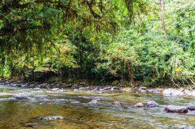 And Choco nehri, bir sürü yeşil orman, saf su ve yuvarlak kayalar.