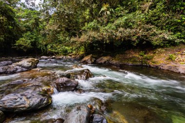 And Choco nehri, bir sürü yeşil orman, saf su ve yuvarlak kayalar.