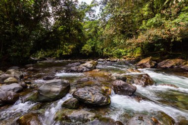 And Choco nehri, bir sürü yeşil orman, saf su ve yuvarlak kayalar.