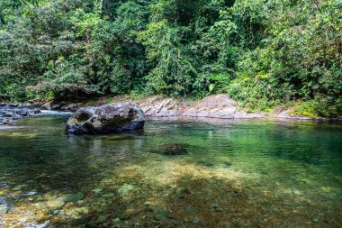 And Choco nehri, bir sürü yeşil orman, saf su ve yuvarlak kayalar.