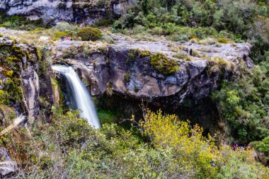 Cotopaxi 'de doğan ve volkanik kayalardaki bir kanaldan geçen kristal sudan oluşan şelale.