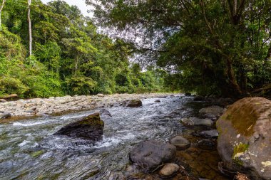 And Choco nehri, bir sürü yeşil orman, saf su ve yuvarlak kayalar.
