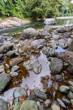 And Choco nehri, bir sürü yeşil orman, saf su ve yuvarlak kayalar.