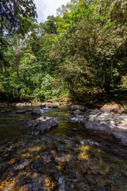 And Choco nehri, bir sürü yeşil orman, saf su ve yuvarlak kayalar.