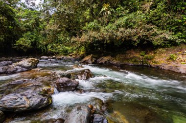 And Choco nehri, bir sürü yeşil orman, saf su ve yuvarlak kayalar.