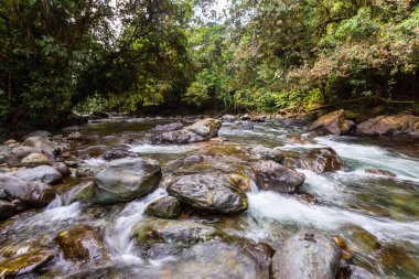 And Choco nehri, bir sürü yeşil orman, saf su ve yuvarlak kayalar.