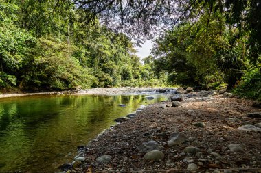 And Choco nehri, bir sürü yeşil orman, saf su ve yuvarlak kayalar.