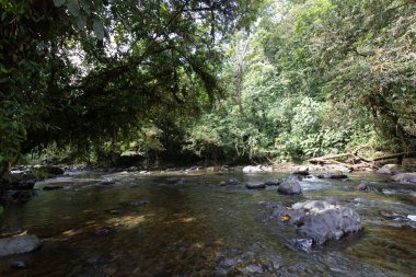 And Choco nehri, bir sürü yeşil orman, saf su ve yuvarlak kayalar.