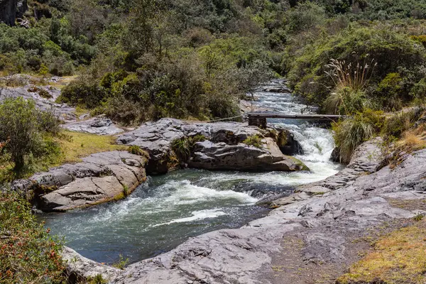 Rio Água Cristalina Que Origina Cotopaxi Atravessa Canal Rocha Vulcânica Imagem De Stock