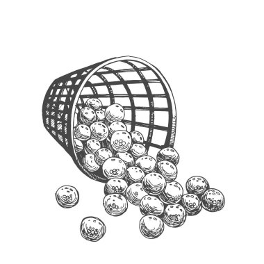 Çizim tarzında topları olan golf kovası. Siyah ve beyaz el yapımı illüstrasyon.