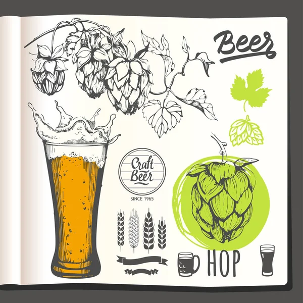 带有家庭酿造传统的食品素描本 素描风格的食物 矢量表示啤酒 啤酒花和图标 Cookbook — 图库矢量图片#