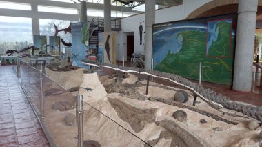 Kolombiya, Villa de Leyva 2022, Paleontoloji Müzesi. Bu topraklarda yaşayan dinozor fosilleri ve çeşitli deniz hayvanlarının kalıntıları var.