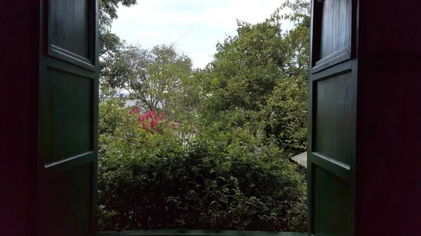 Evin Penceresinden Güzel Bahçenin Manzarası — Stok fotoğraf