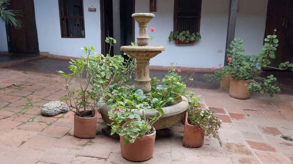 stock image beautiful flower pot in the garden