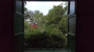 Evin penceresinden güzel bahçenin görüntüleri.