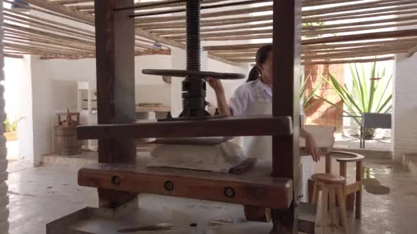 Colombia Barichara 2022 Pappersverkstadsfabrik För Tillverkning Pappersark Naturliga Växtlöv Kvinnor — Stockvideo