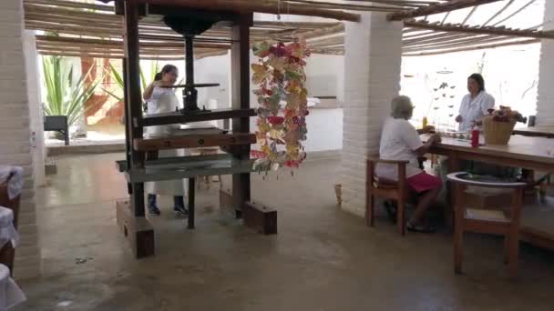 哥伦比亚Barichara 2022 用天然植物叶子生产纸片的造纸厂 妇女在社会合作中的制造业工作 — 图库视频影像