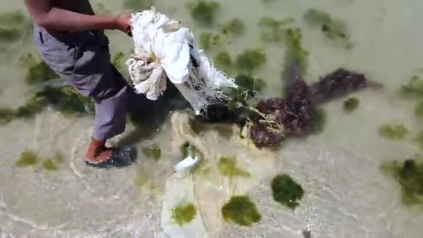 Cabo Vela Guajira Colombia 2022 Residuos Plásticos Contaminan Mar Las — Vídeo de stock