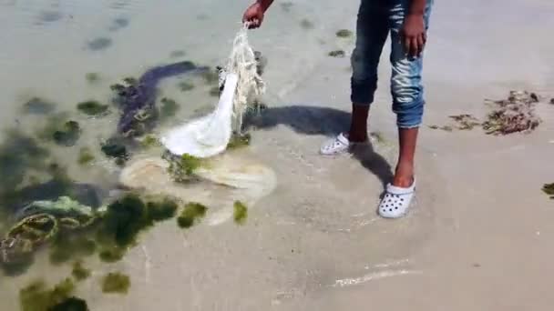 Cabo Vela Guajira Colombia 2022 Пластикові Відходи Забруднюють Море Пляжі — стокове відео